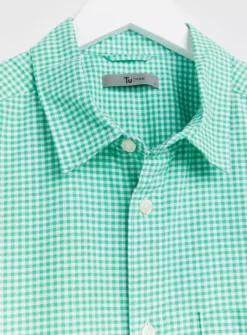 Green Gingham Oxford ShirtXXXL -The Sleek Ward Sales tuc143333494 Green R Z004A